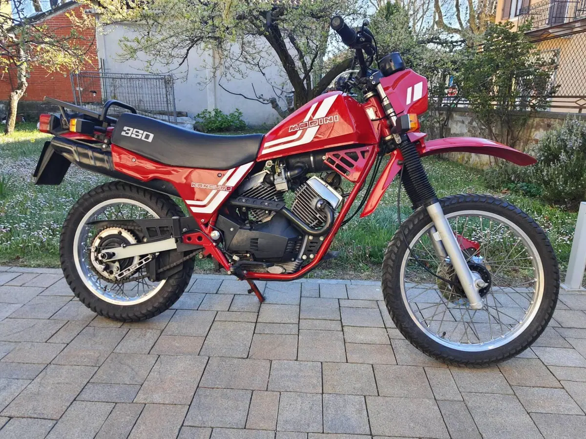 Morini kanguro (2)