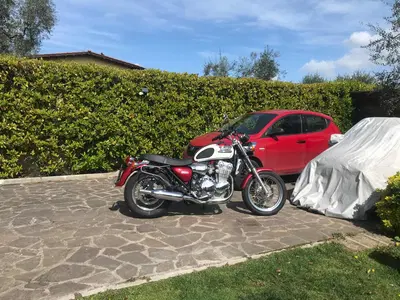 Triumph Thunderbird 900 (2002) usata