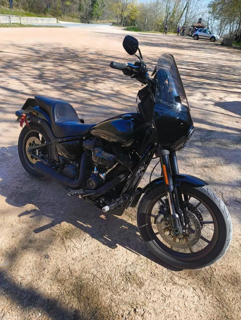 Harley-Davidson 114 Low Rider S (2021) - FXLRS (3)