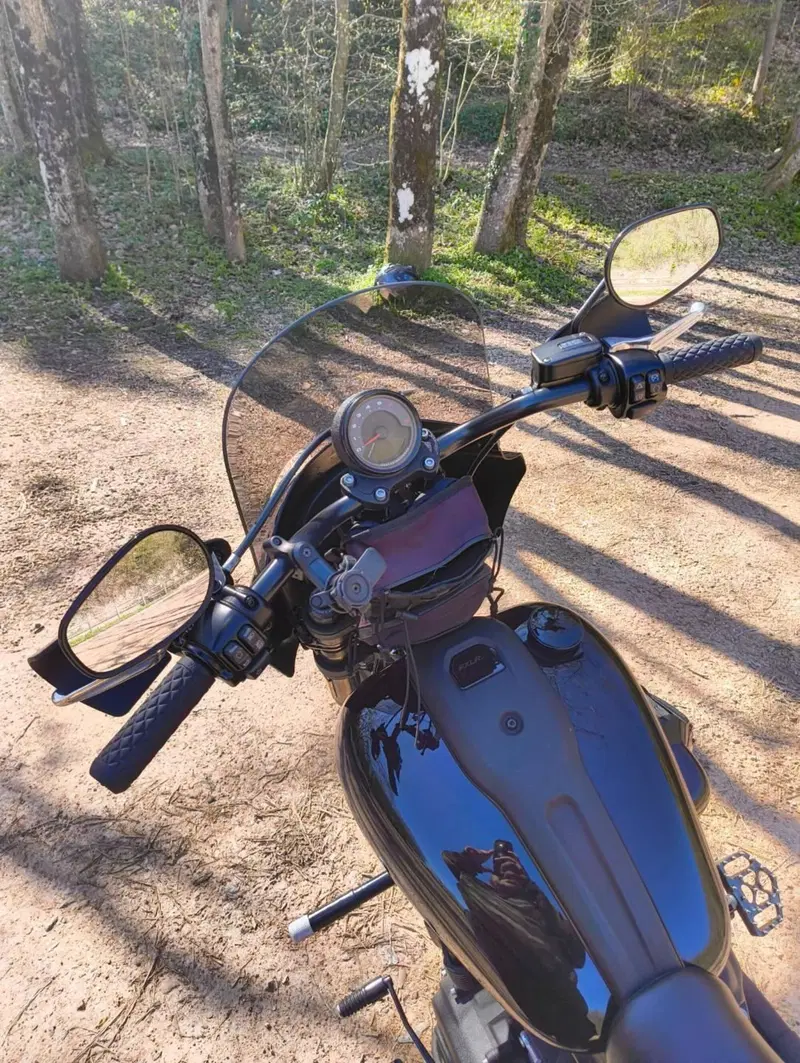 Harley-Davidson 114 Low Rider S (2021) - FXLRS (5)