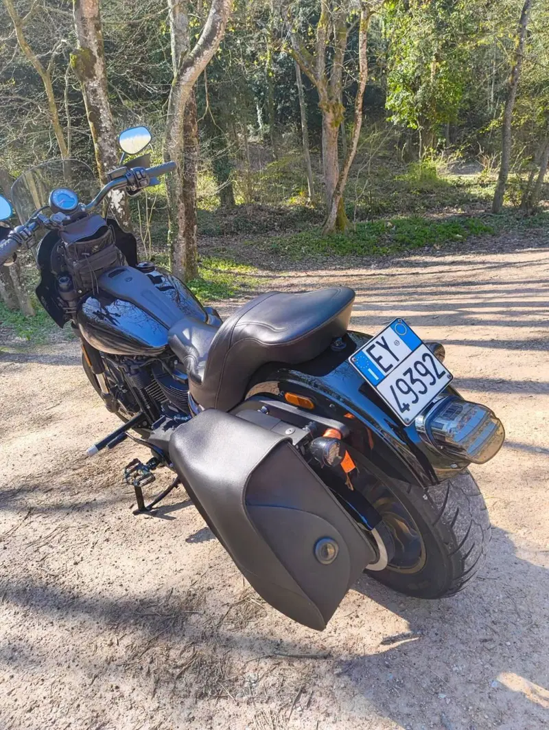 Harley-Davidson 114 Low Rider S (2021) - FXLRS (7)