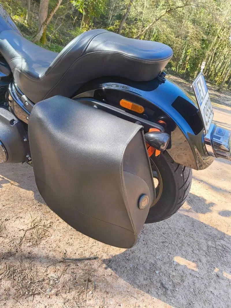 Harley-Davidson 114 Low Rider S (2021) - FXLRS (10)