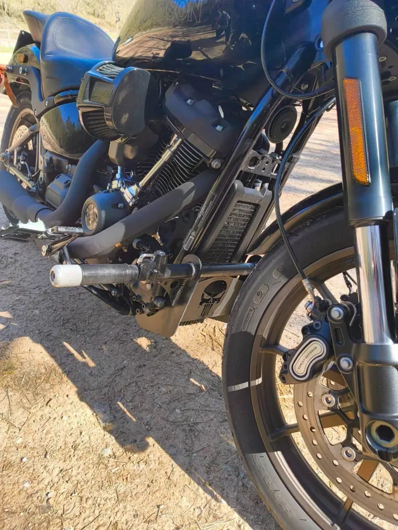Harley-Davidson 114 Low Rider S (2021) - FXLRS (13)