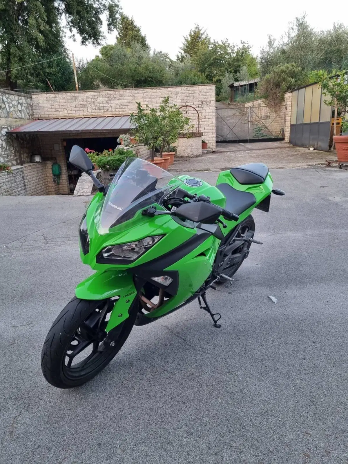Kawasaki Ninja 300 ABS (2012 - 16)