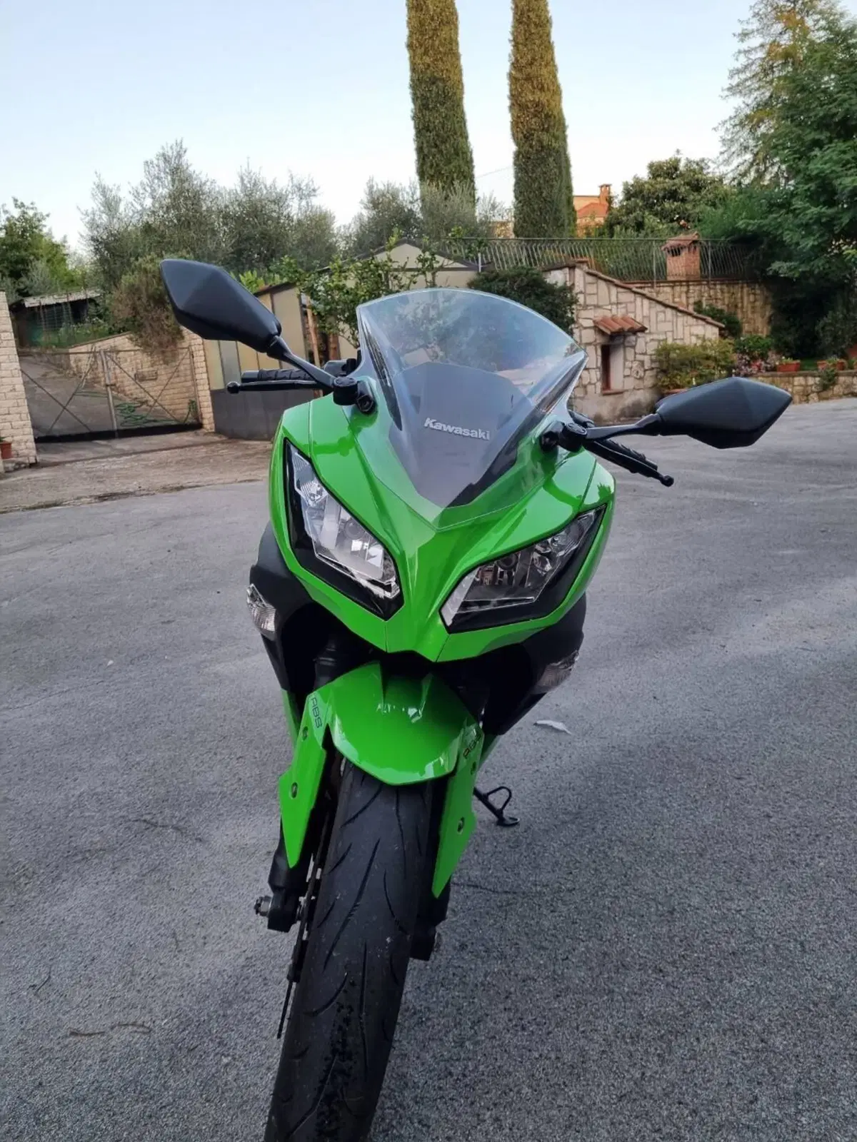 Kawasaki Ninja 300 ABS (2012 - 16) (2)