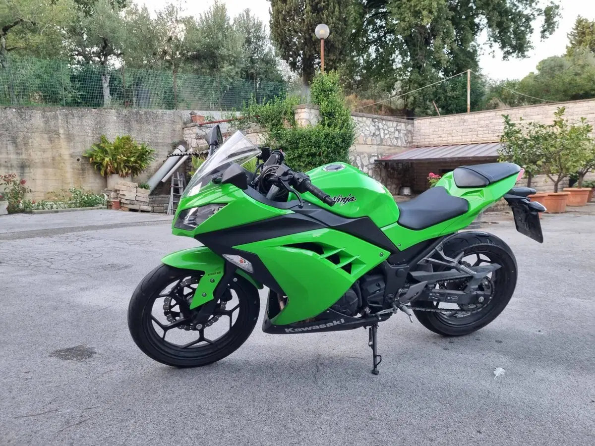Kawasaki Ninja 300 ABS (2012 - 16) (3)