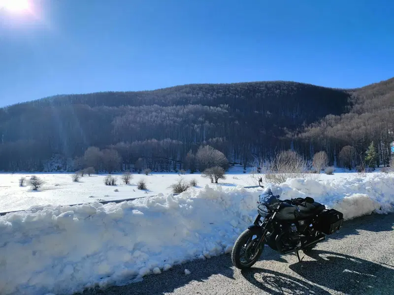 Moto Guzzi V7 Stone (2021 - 24) (5)