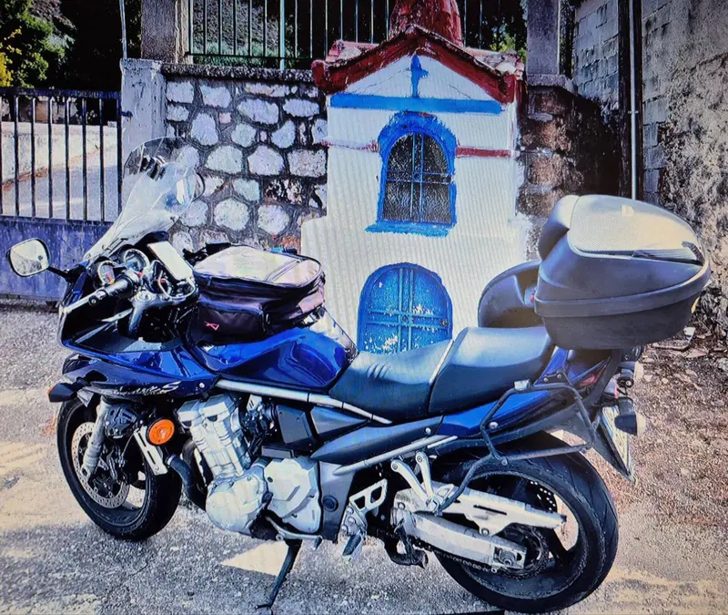 Suzuki Bandit 1250 S ABS (2015 - 17) (2)