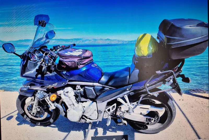 Suzuki Bandit 1250 S ABS (2015 - 17) (3)