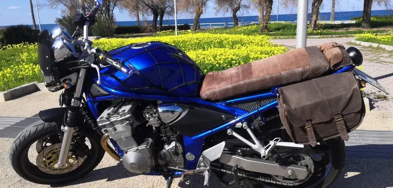 Suzuki GSF 600 Bandit (2000 - 05) (3)