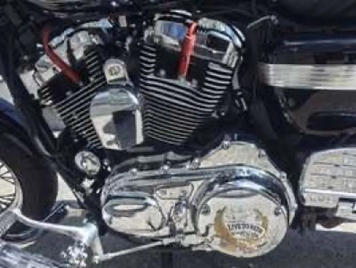 Harley-Davidson 1200 Custom (2007 - 13) - XL 1200C