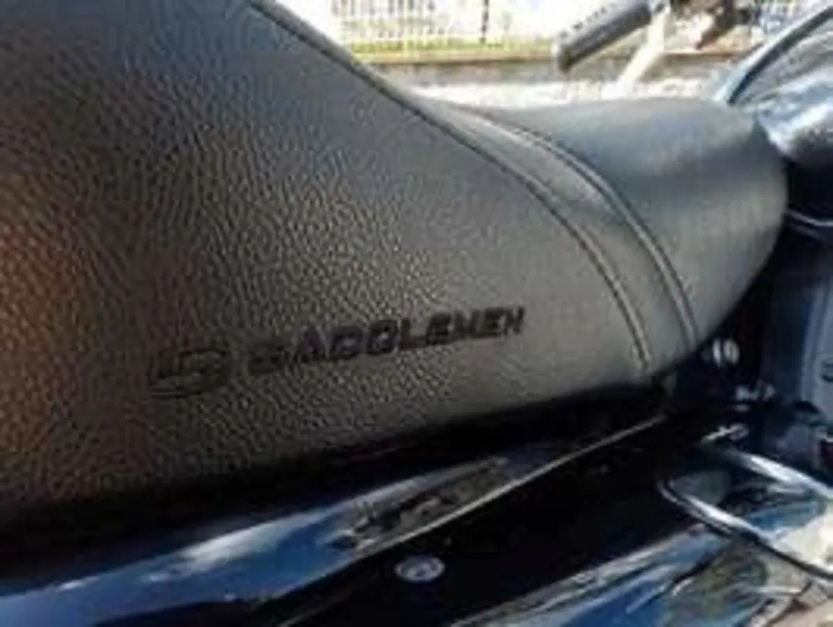 Harley-Davidson 1200 Custom (2007 - 13) - XL 1200C (8)