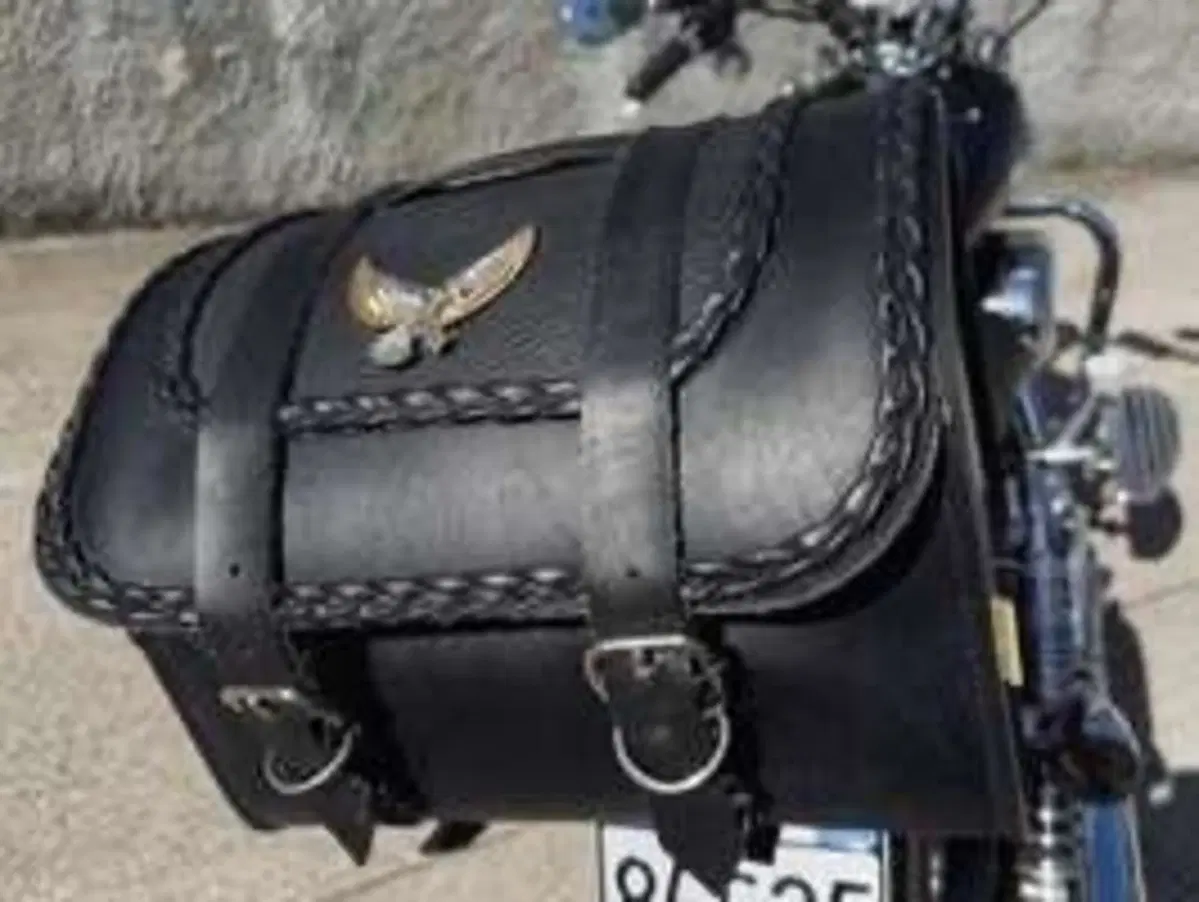 Harley-Davidson 1200 Custom (2007 - 13) - XL 1200C (13)