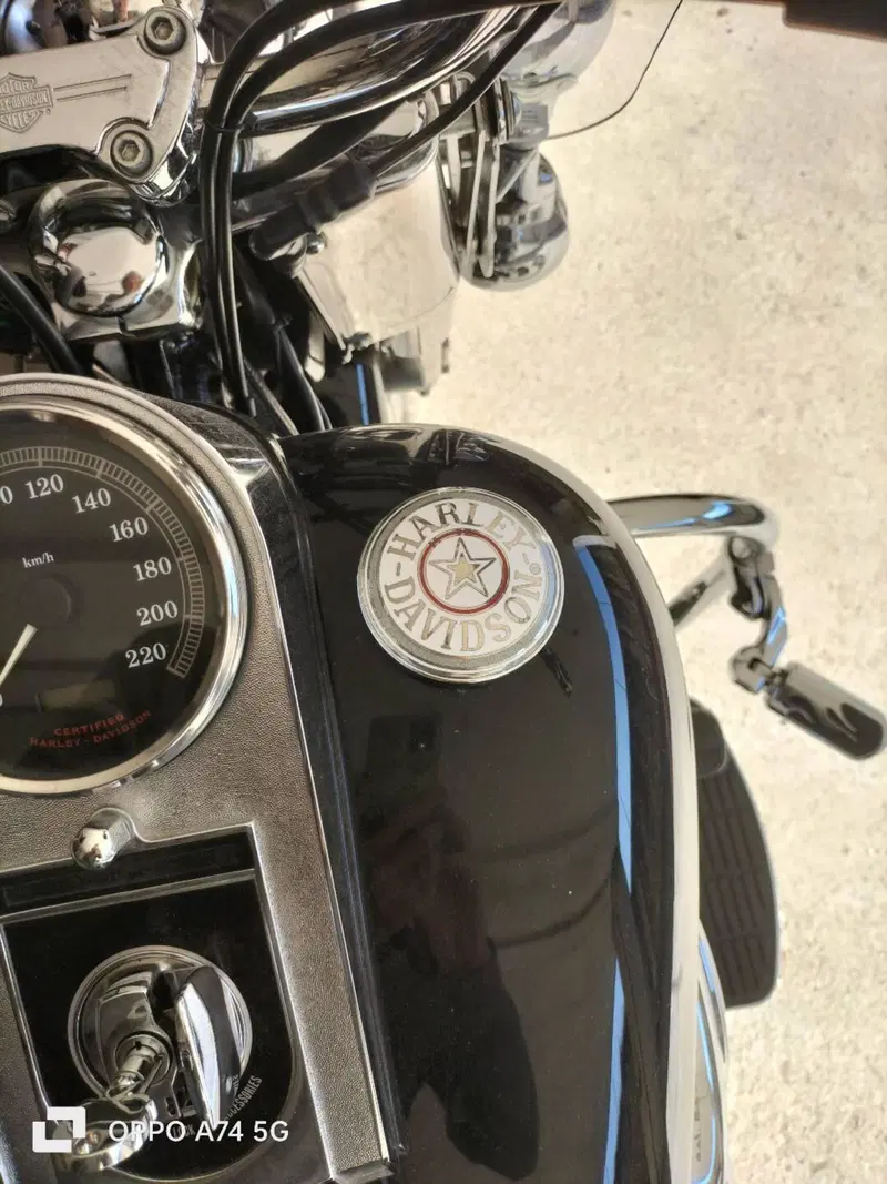 Harley-Davidson 1450 Heritage Classic (1999 - 02) - FLSTC (8)