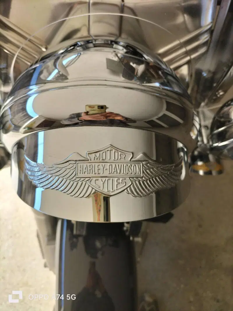 Harley-Davidson 1450 Heritage Classic (1999 - 02) - FLSTC (15)