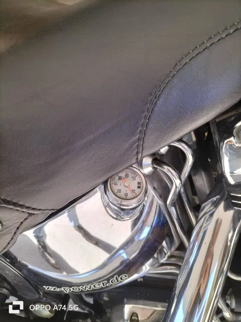 Harley-Davidson 1450 Heritage Classic (1999 - 02) - FLSTC (18)