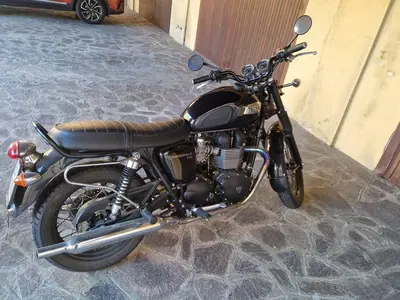 Triumph Bonneville T100 (2008 - 16) usata