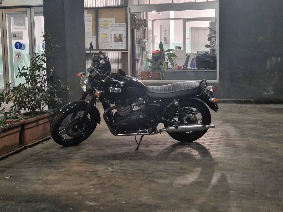 Triumph Bonneville T100 (2008 - 16) (7)