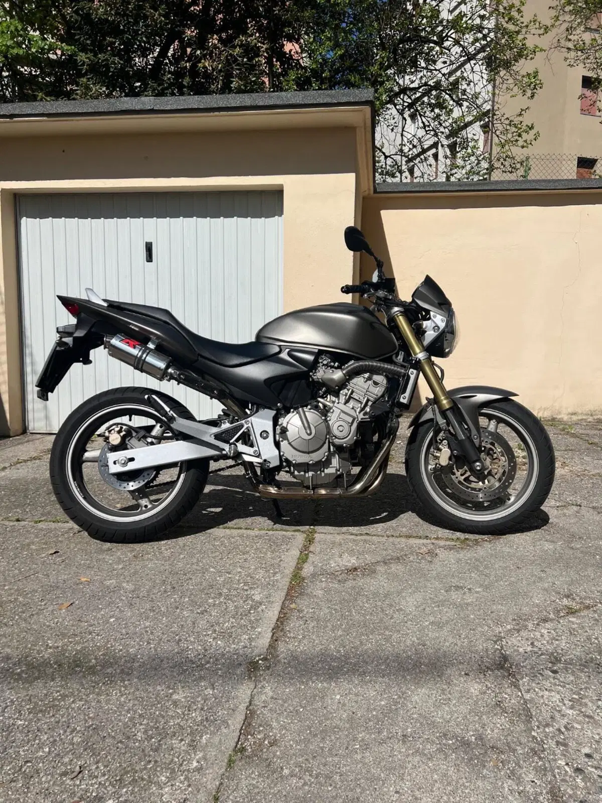 Honda Hornet 600 (2005 - 06) (4)