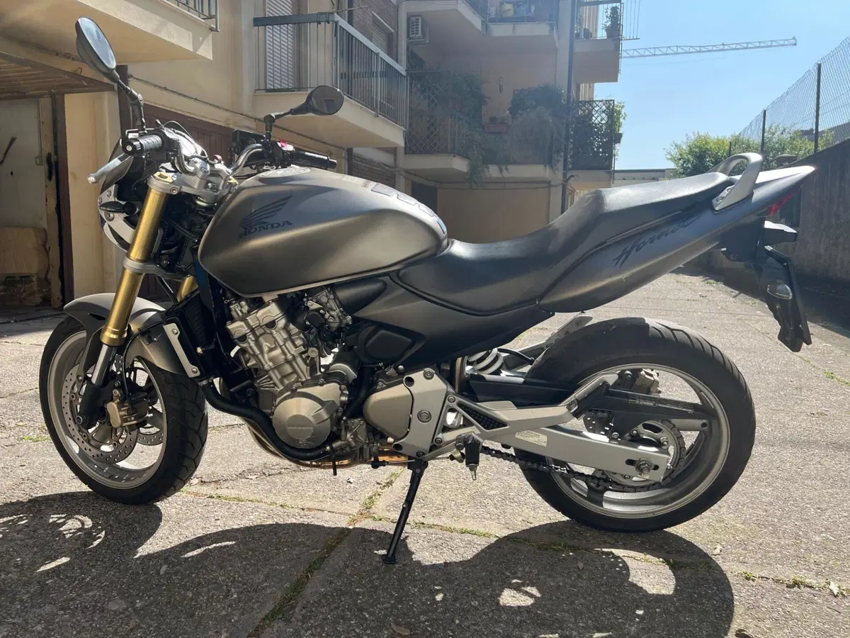 Honda Hornet 600 (2005 - 06) (5)