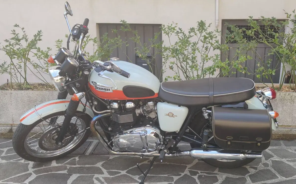 Triumph Bonneville T100 50th Anniversary (2009)