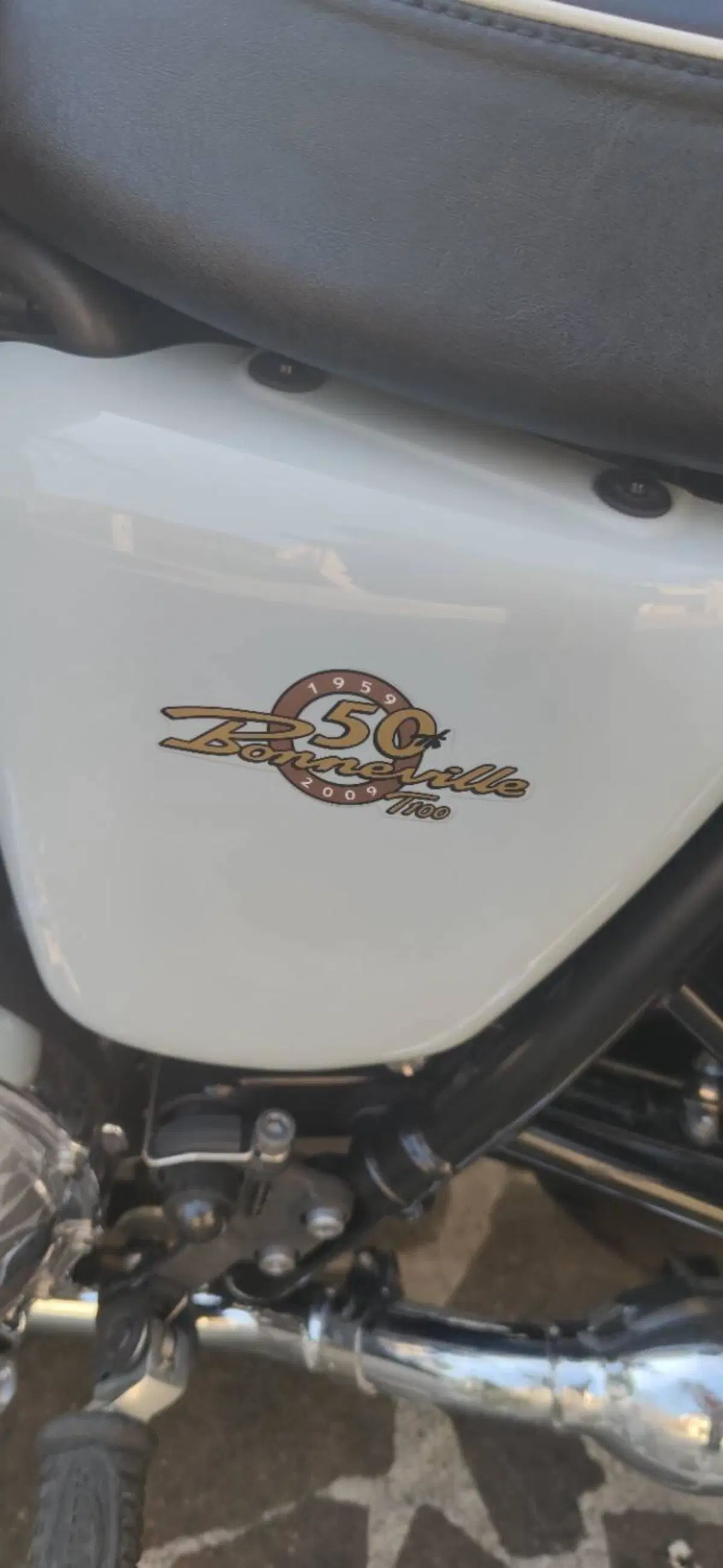 Triumph Bonneville T100 50th Anniversary (2009) (4)