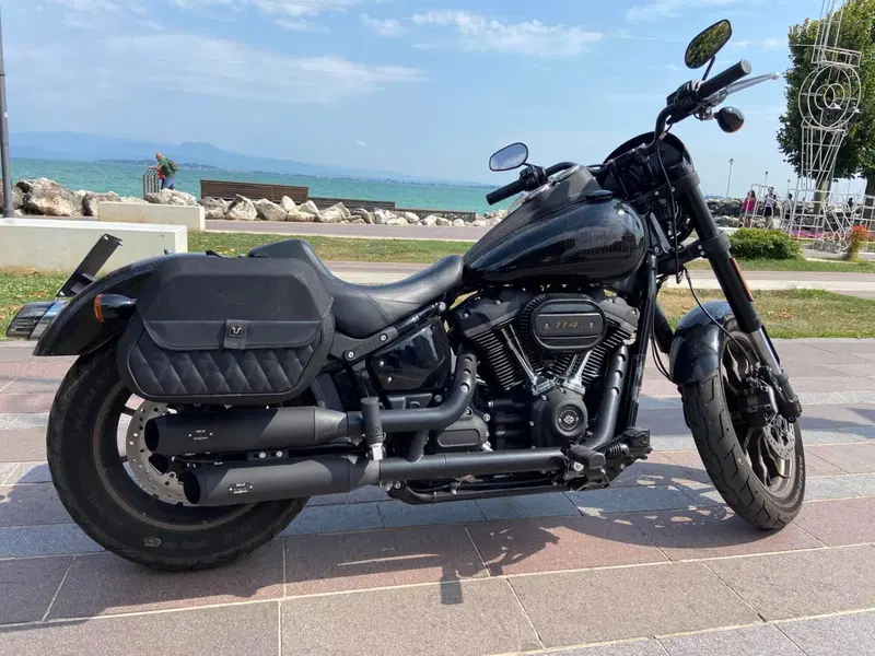 Harley-Davidson Low Rider S (2022 - 24) (3)