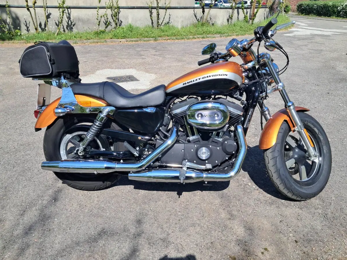 Harley-Davidson 1200 Custom ABS (2014 - 16) - XL 1200C (3)