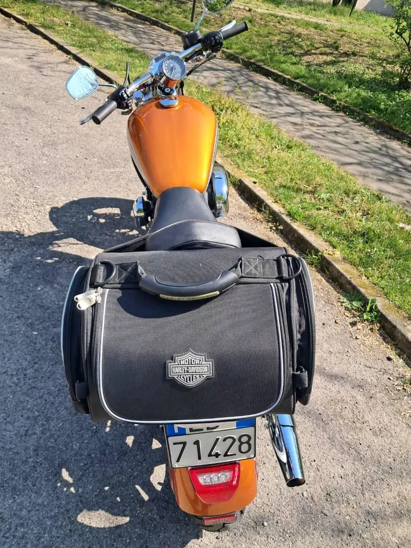 Harley-Davidson 1200 Custom ABS (2014 - 16) - XL 1200C (4)
