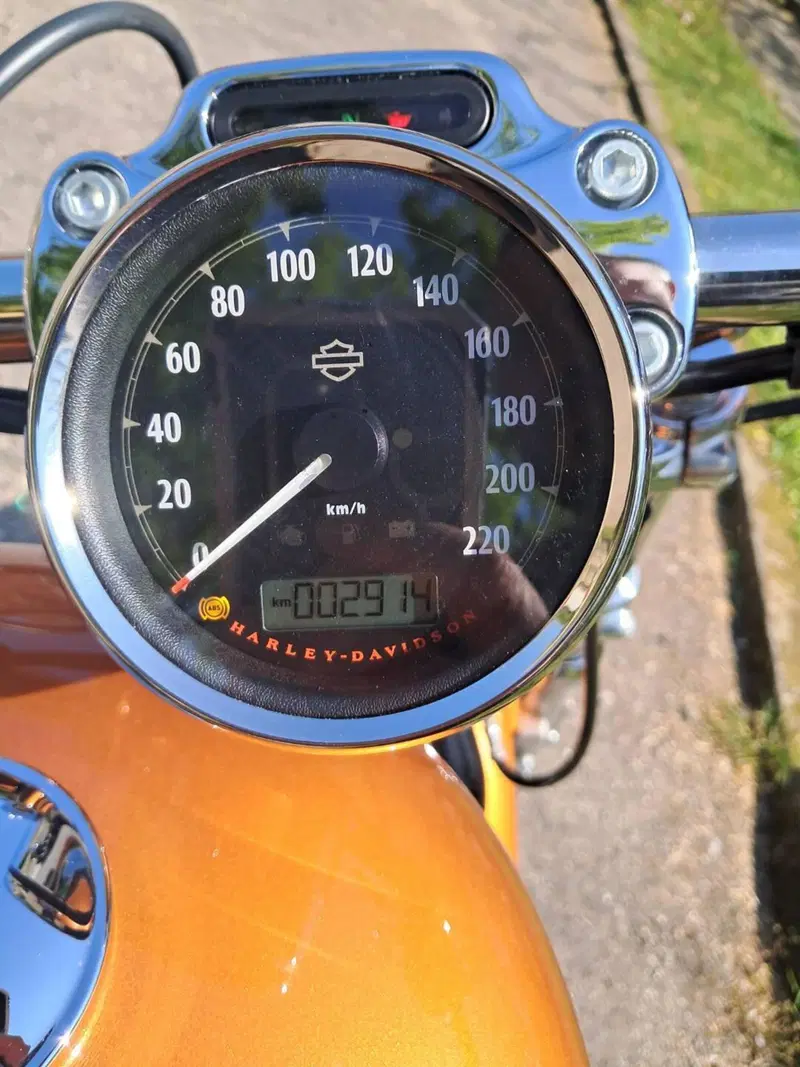 Harley-Davidson 1200 Custom ABS (2014 - 16) - XL 1200C (6)
