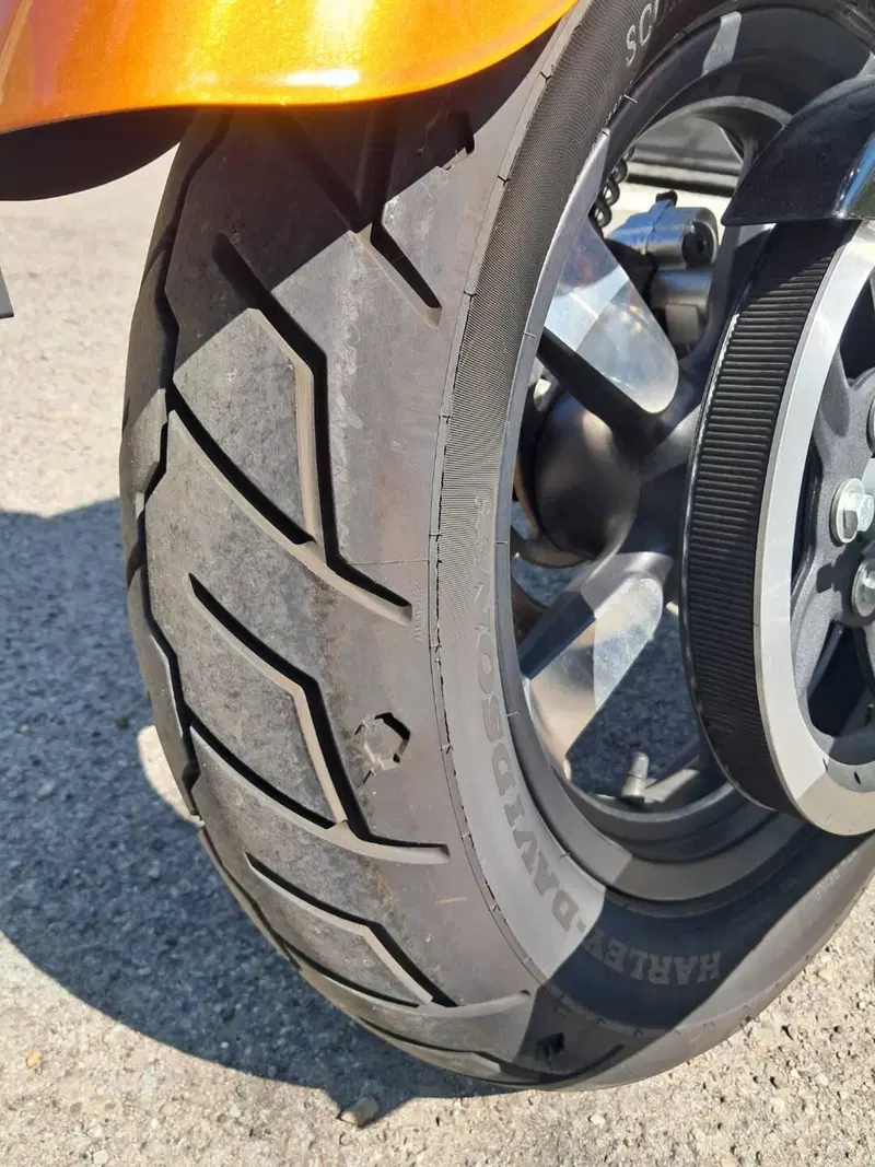 Harley-Davidson 1200 Custom ABS (2014 - 16) - XL 1200C (7)