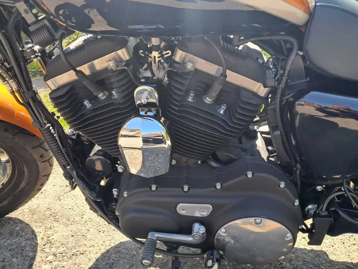Harley-Davidson 1200 Custom ABS (2014 - 16) - XL 1200C (8)