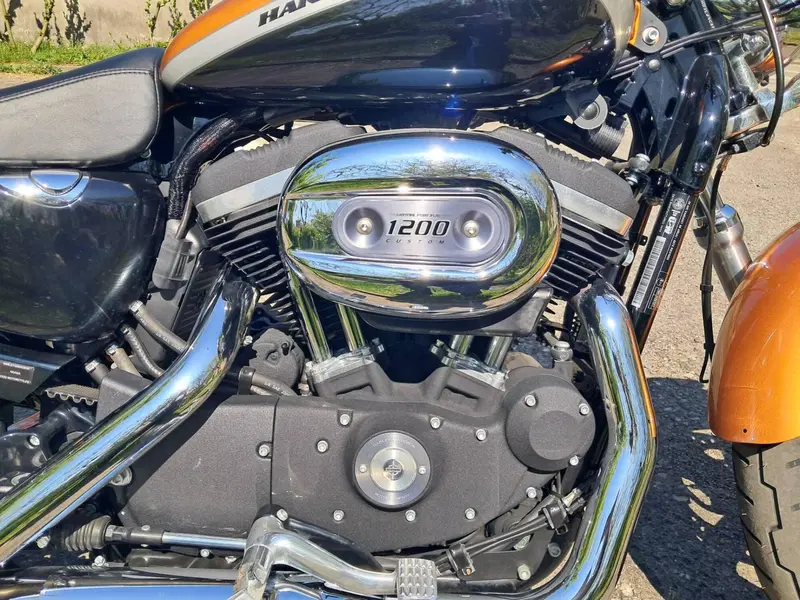 Harley-Davidson 1200 Custom ABS (2014 - 16) - XL 1200C (9)