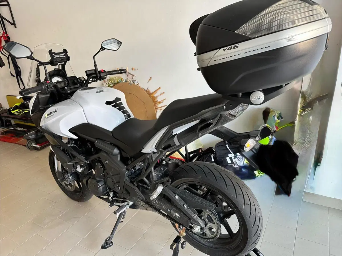Kawasaki Versys 650 ABS (2015 - 16) (3)