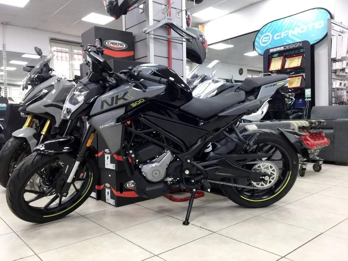 CFMOTO 300NK (2021 - 26) (3)