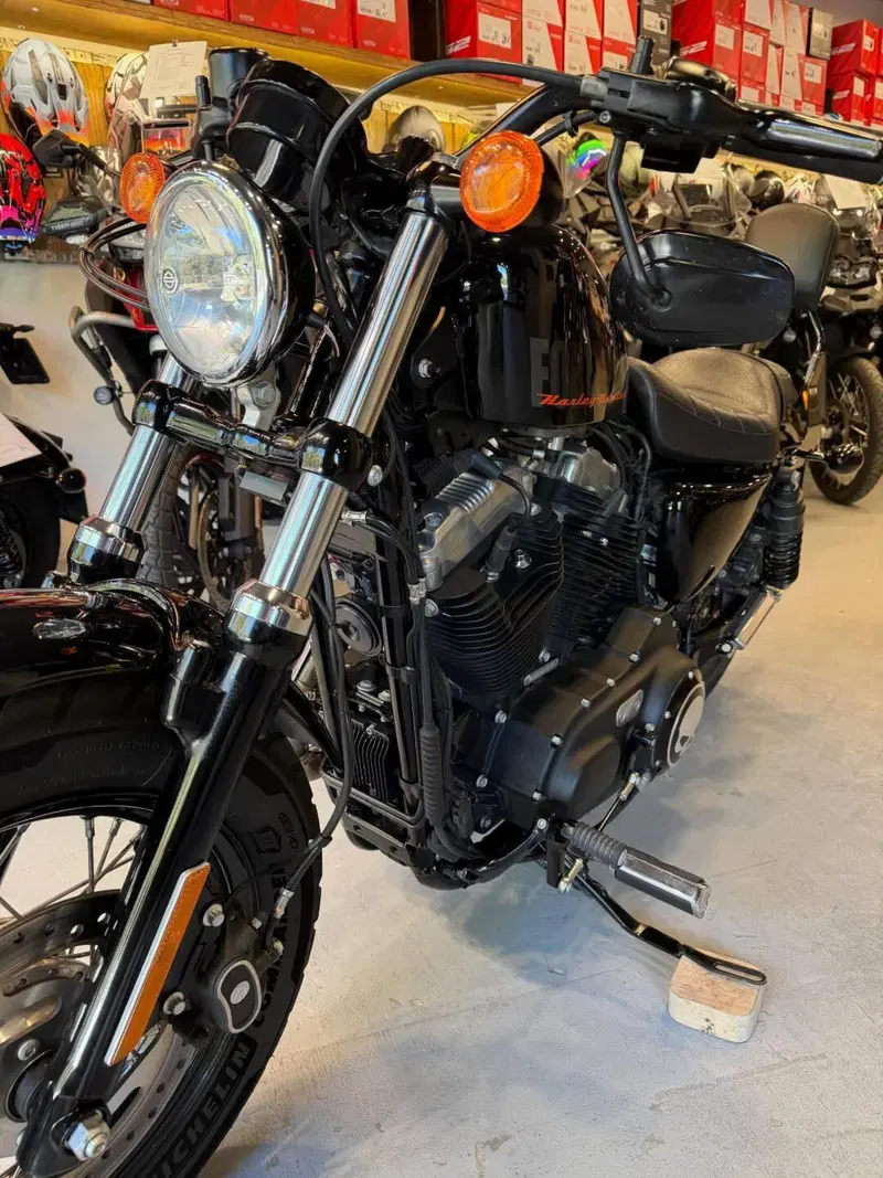 Harley-Davidson 1200 Forty-Eight (2010 - 15) (2)