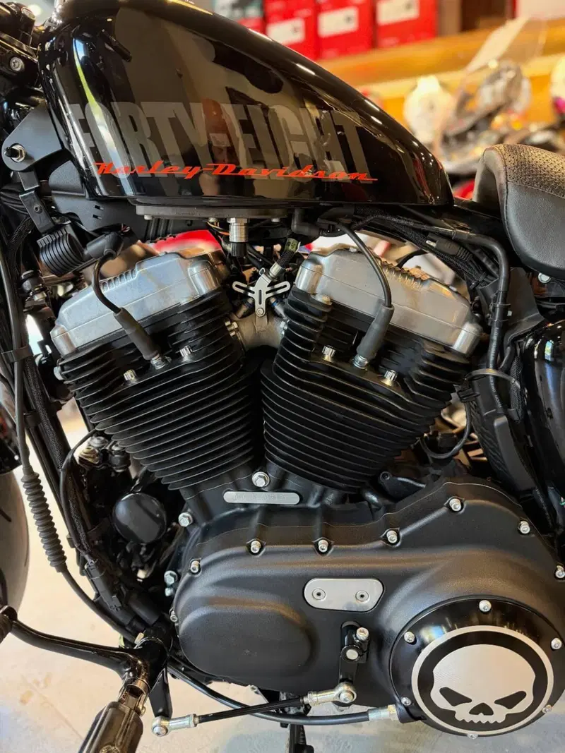Harley-Davidson 1200 Forty-Eight (2010 - 15) (3)