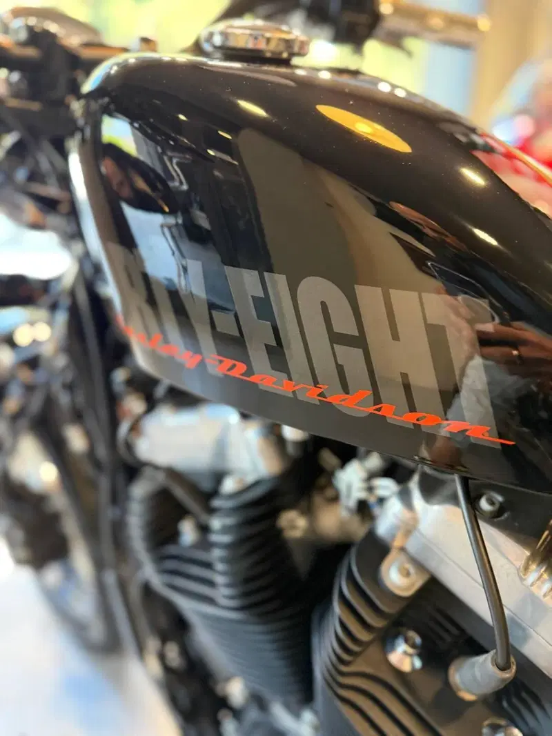 Harley-Davidson 1200 Forty-Eight (2010 - 15) (5)