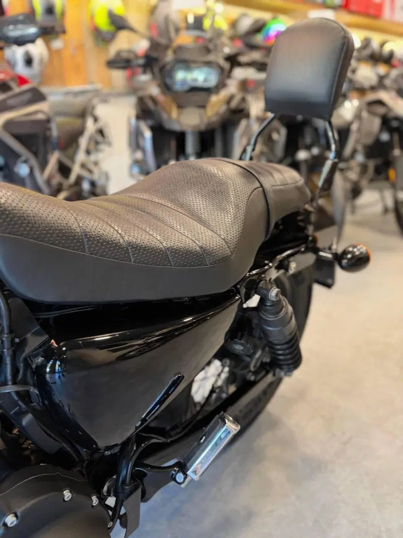 Harley-Davidson 1200 Forty-Eight (2010 - 15) (6)
