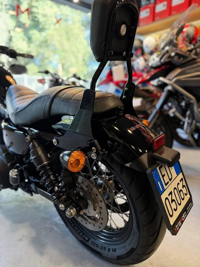 Harley-Davidson 1200 Forty-Eight (2010 - 15) (7)