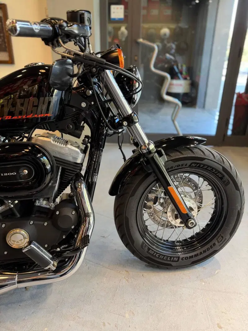 Harley-Davidson 1200 Forty-Eight (2010 - 15) (9)