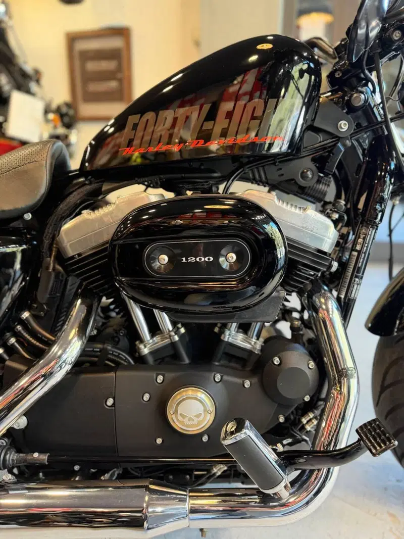Harley-Davidson 1200 Forty-Eight (2010 - 15) (11)