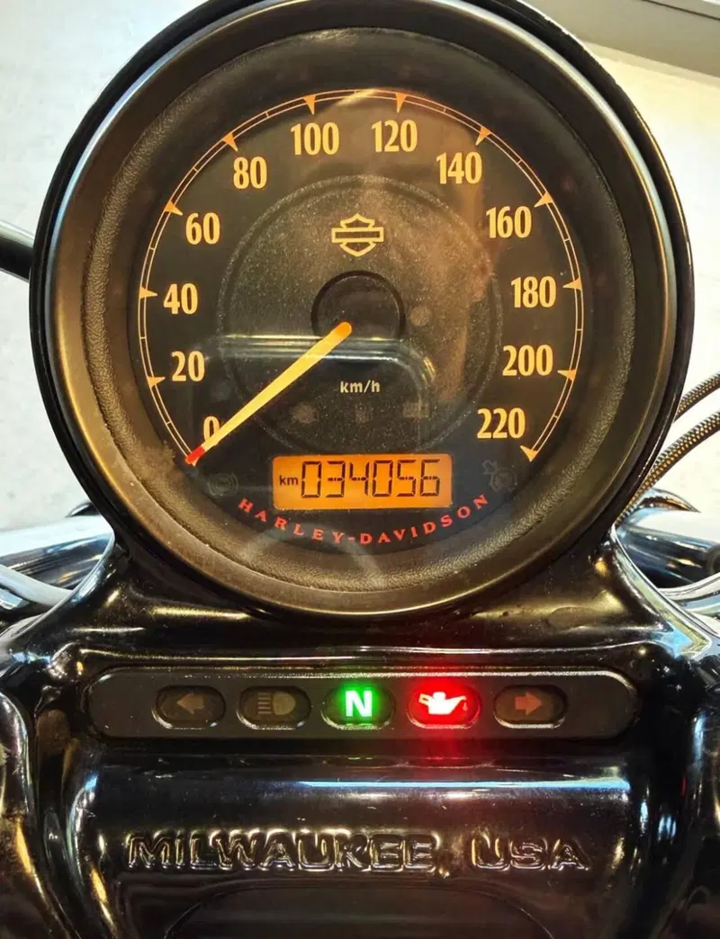 Harley-Davidson 1200 Forty-Eight (2010 - 15) (13)