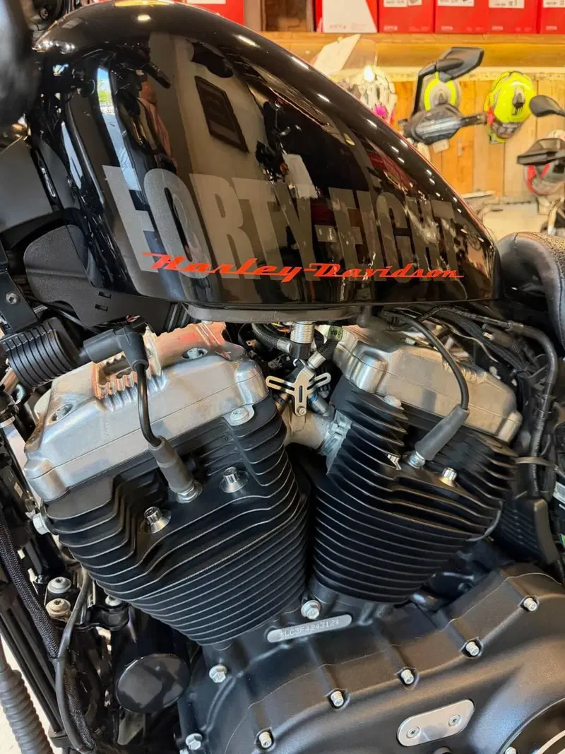 Harley-Davidson 1200 Forty-Eight (2010 - 15) (18)