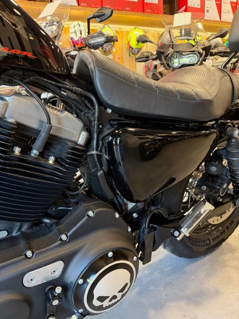 Harley-Davidson 1200 Forty-Eight (2010 - 15) (19)