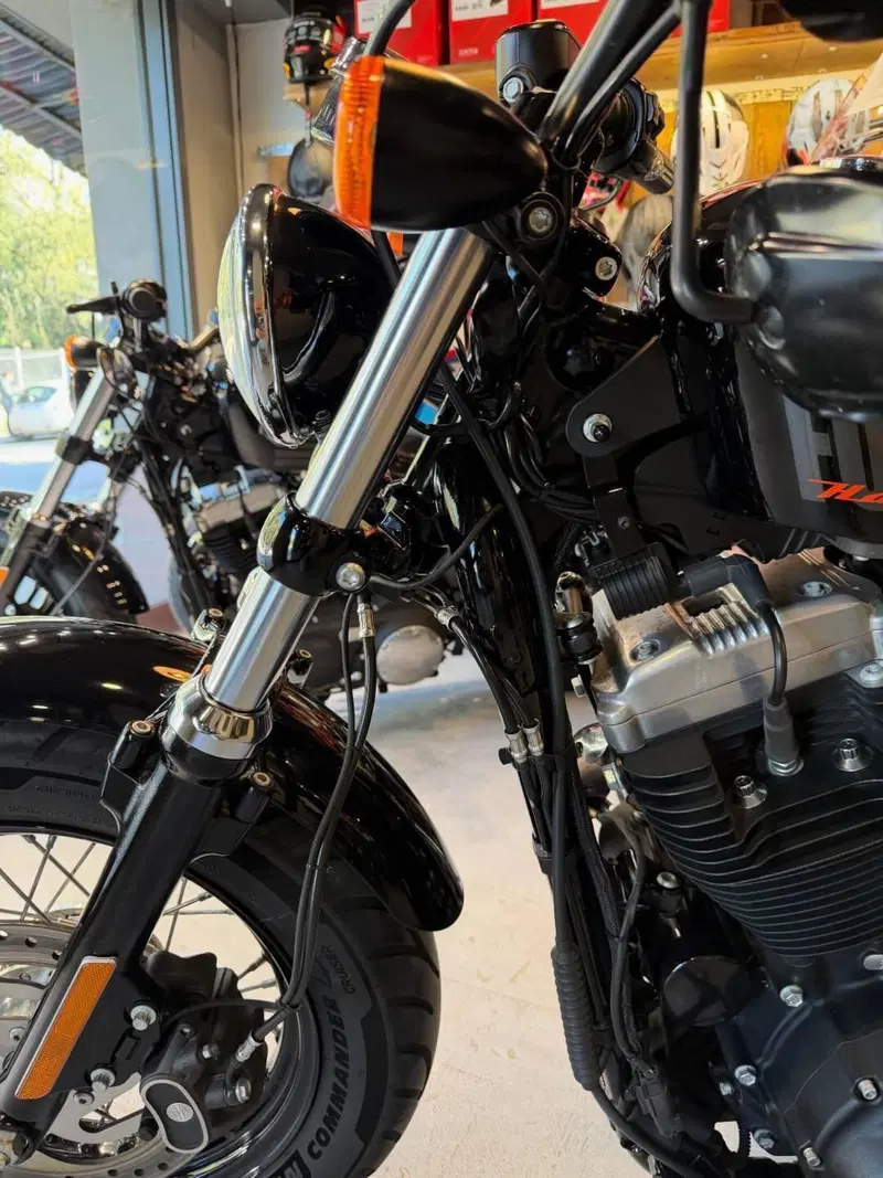 Harley-Davidson 1200 Forty-Eight (2010 - 15) (20)