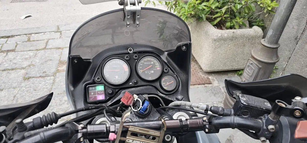 Aprilia Pegaso 650 IE (2003 - 04) (2)