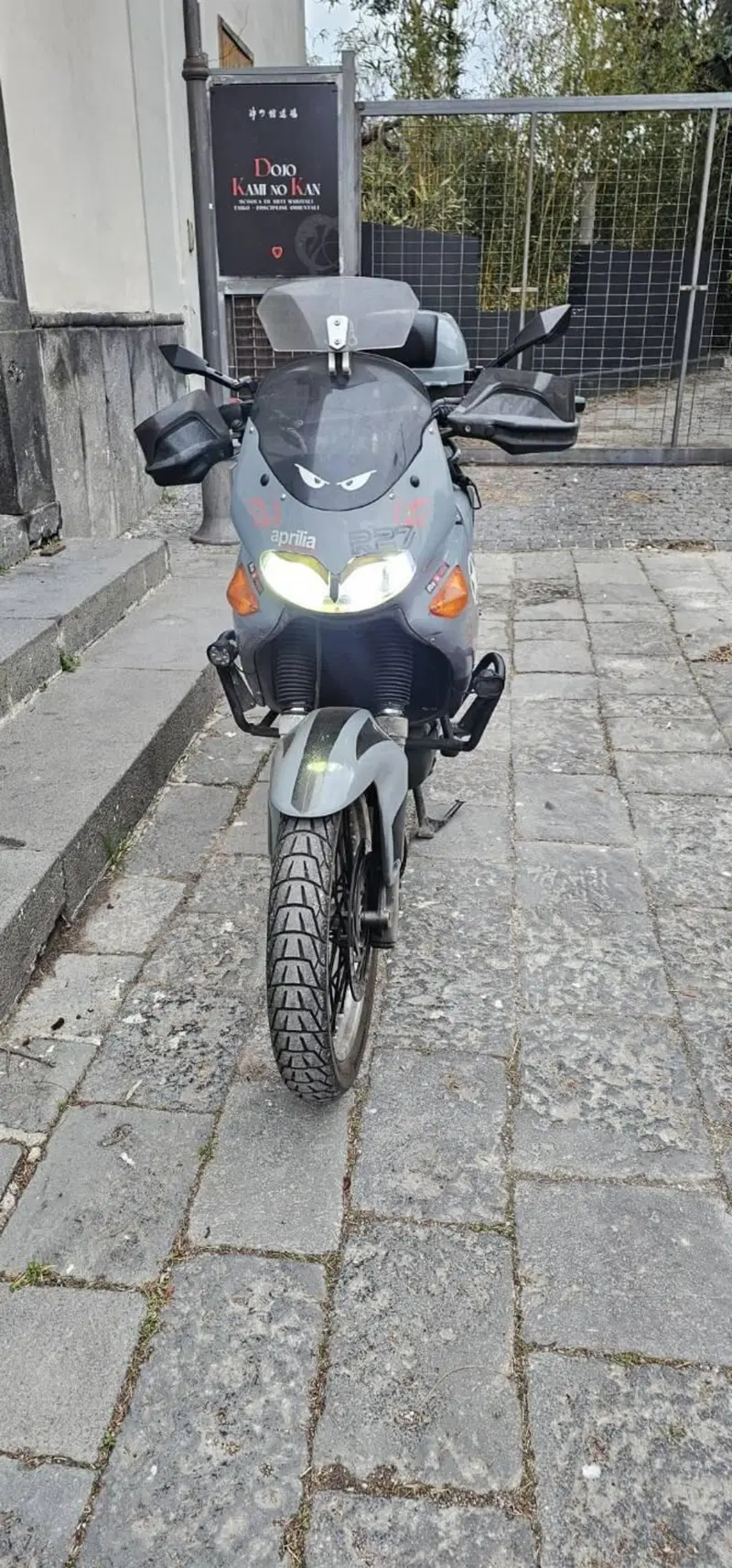 Aprilia Pegaso 650 IE (2003 - 04) (3)