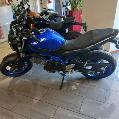 Suzuki SV650 (2025 - 26) usata
