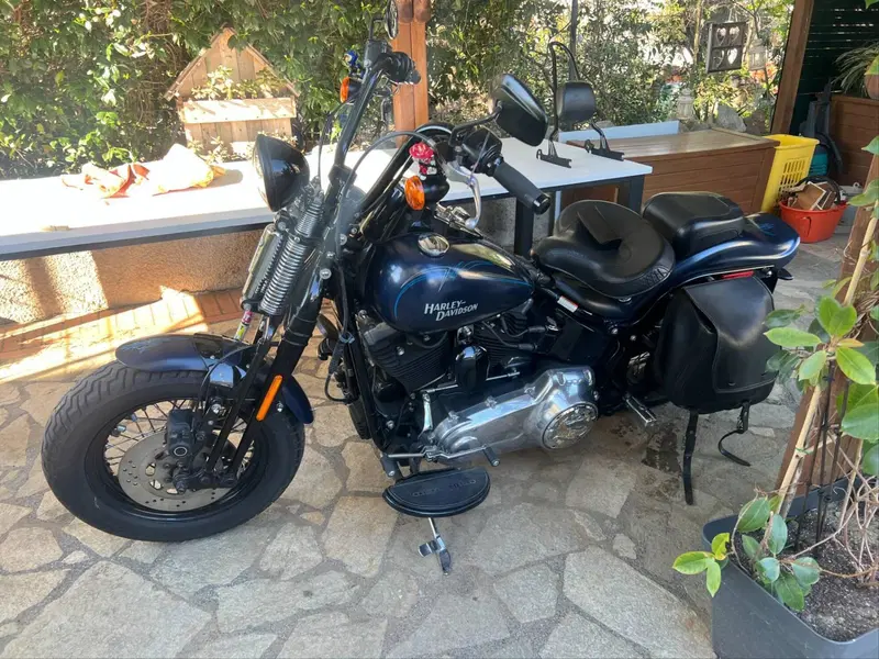Harley-Davidson 1584 Cross Bones (2008 - 11) - FLSTSB (2)